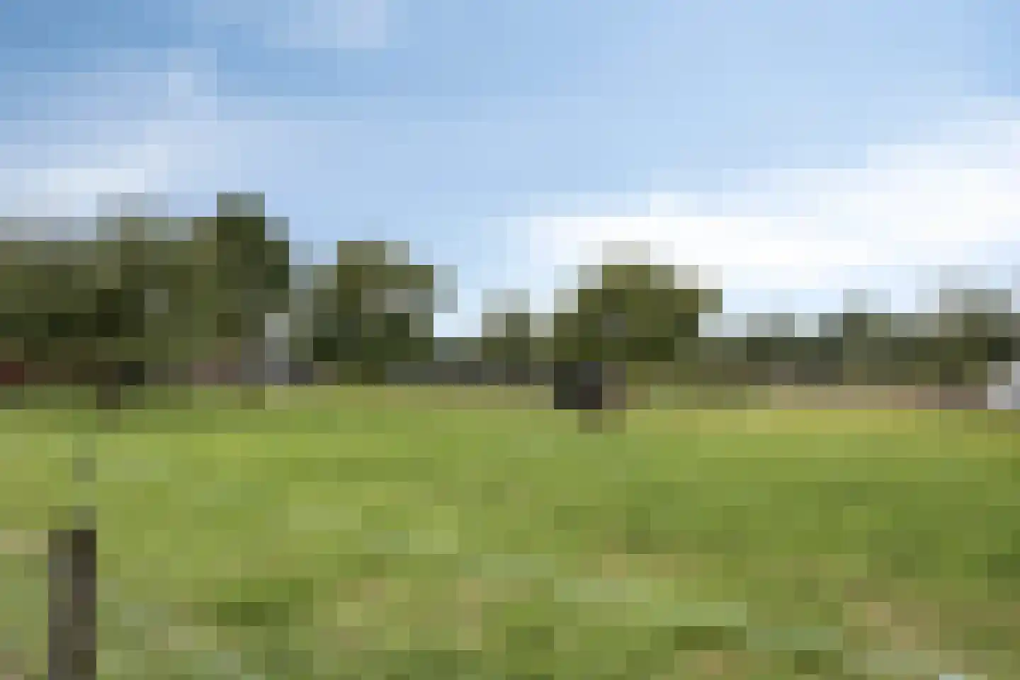 Biezenkamp 52 Wapenveld thumbnail 27