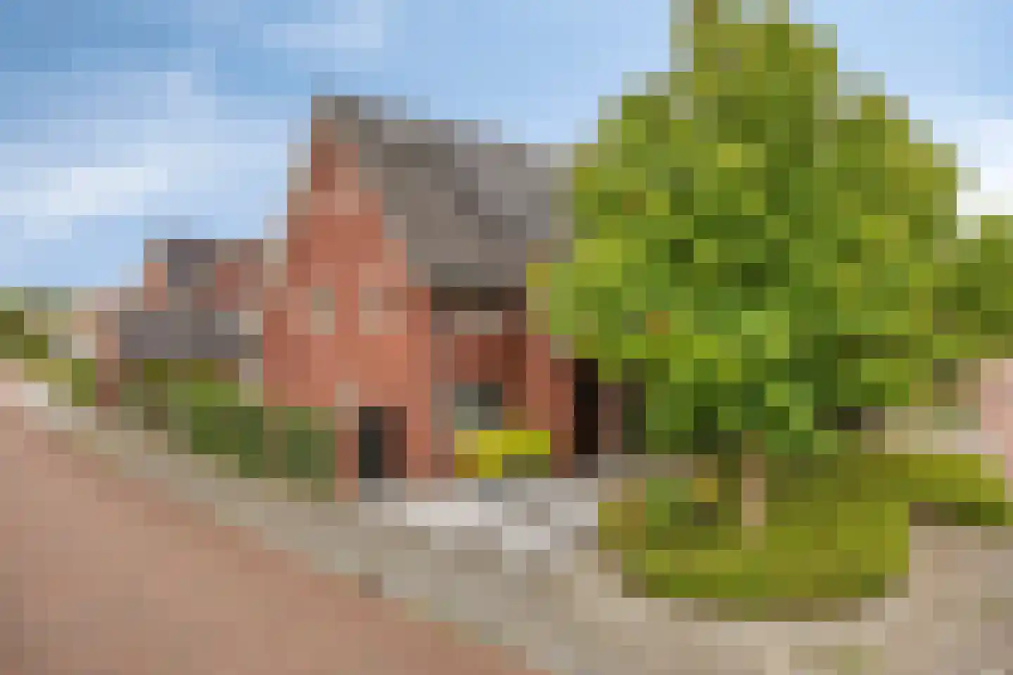 Biezenkamp 52 Wapenveld thumbnail 28