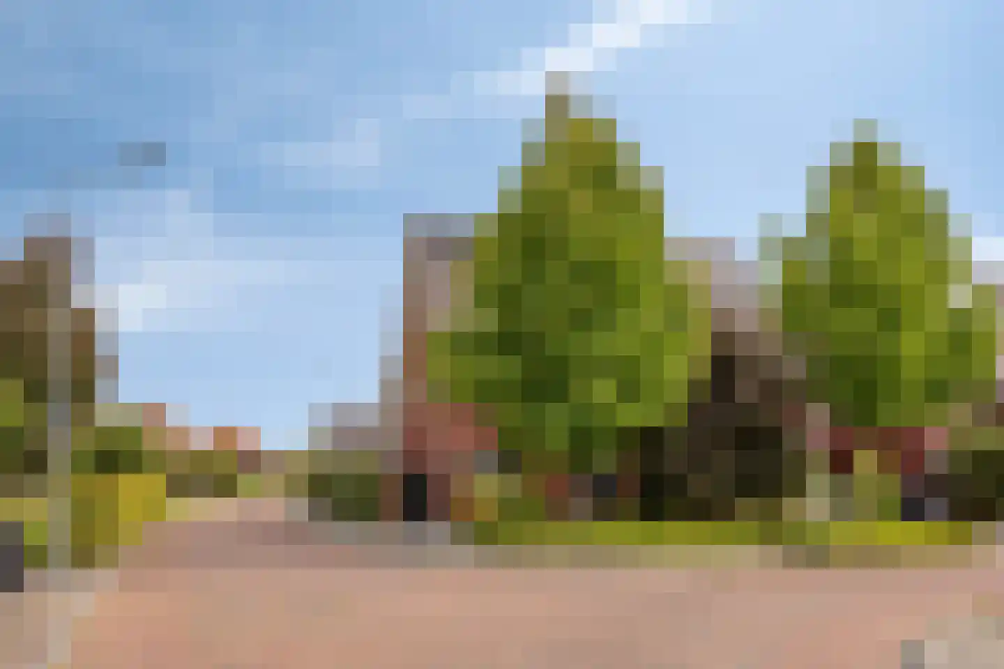 Biezenkamp 52 Wapenveld thumbnail 29