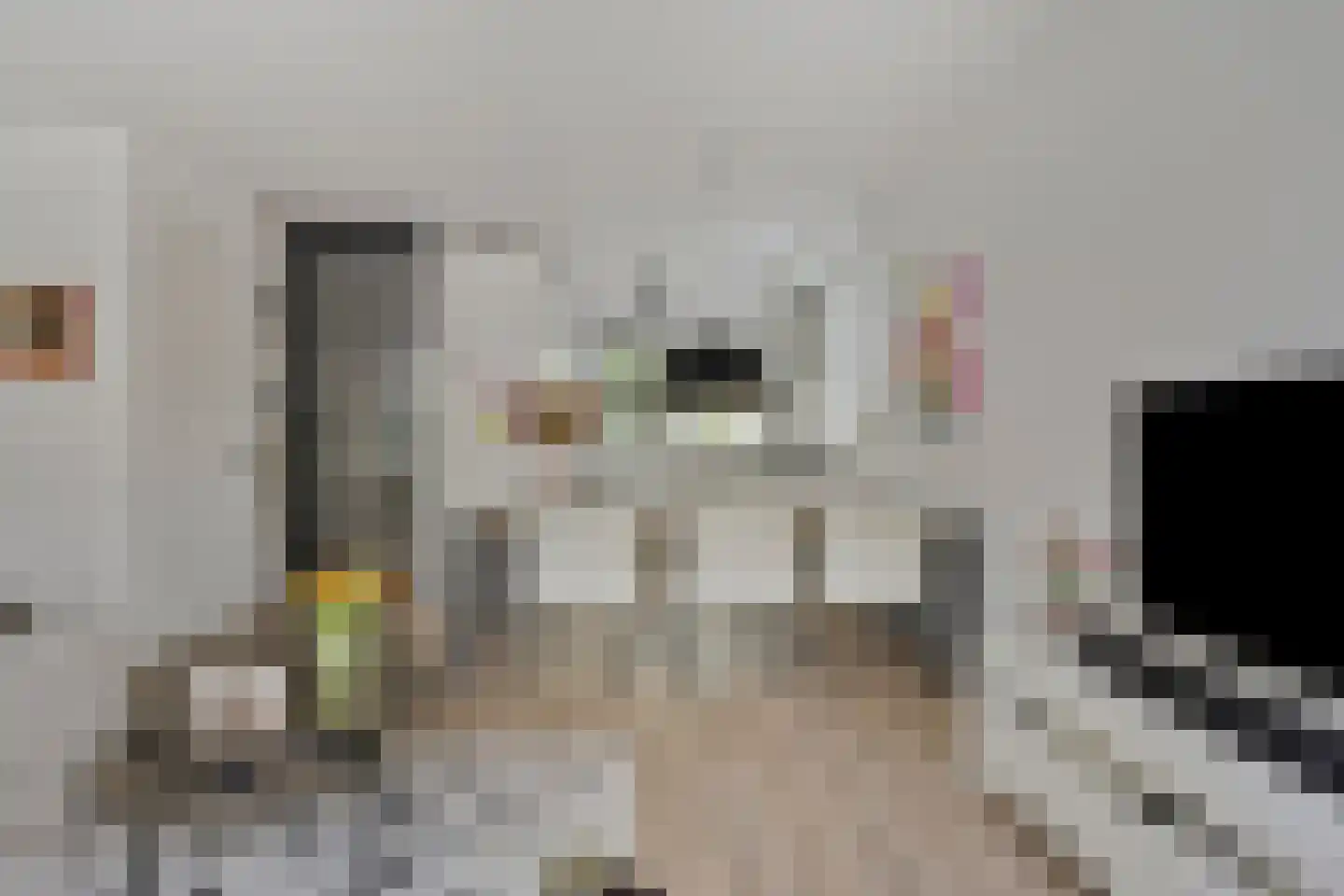 Biezenkamp 52 Wapenveld thumbnail 7