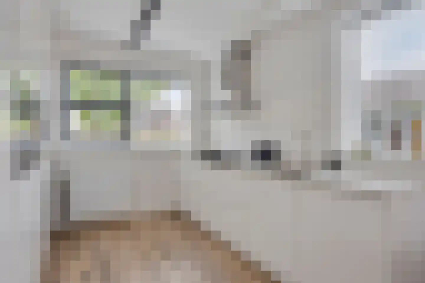 Biezenkamp 52 Wapenveld thumbnail 9