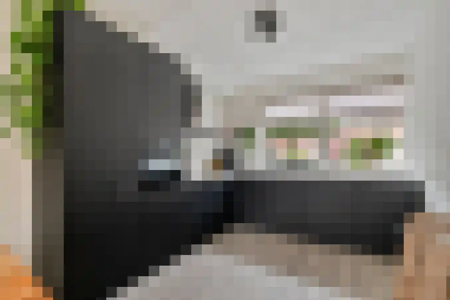 Biezenkamp 7 Wapenveld thumbnail 11