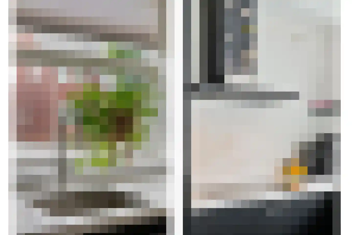 Biezenkamp 7 Wapenveld thumbnail 12