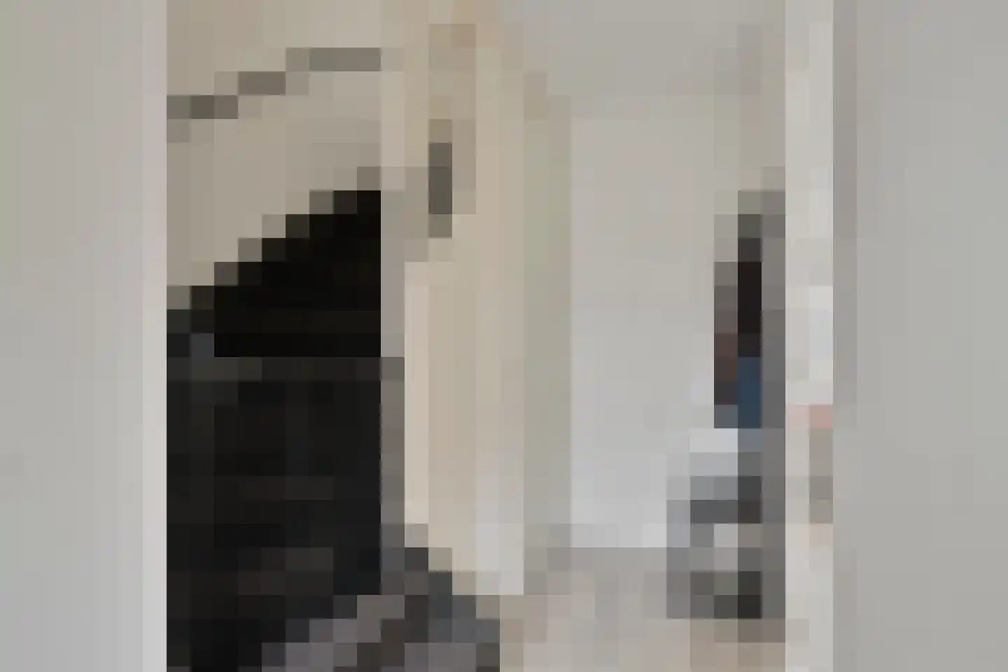 Biezenkamp 7 Wapenveld thumbnail 15