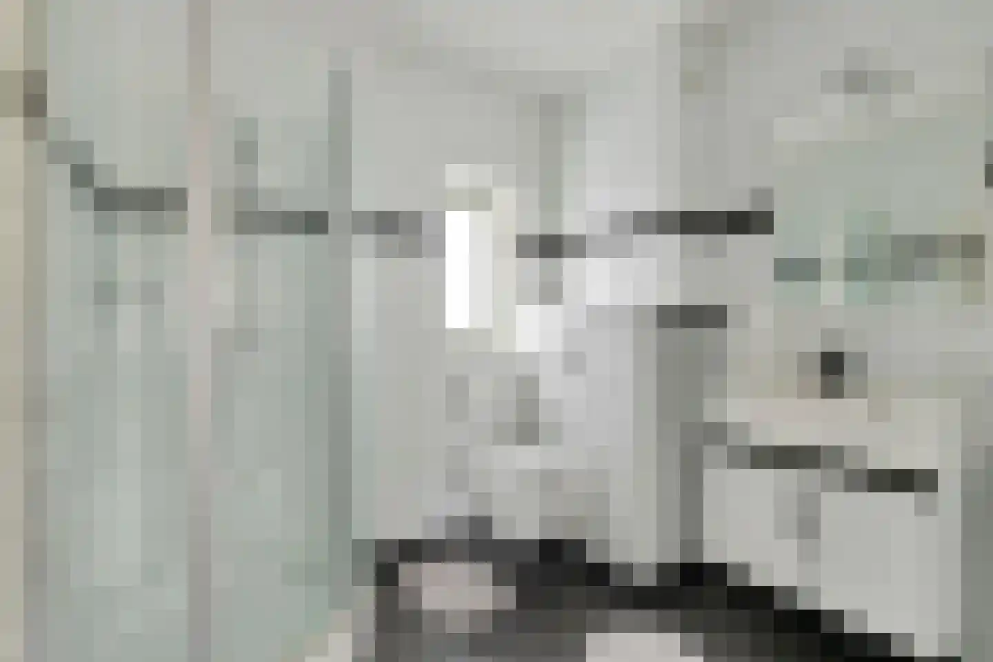 Biezenkamp 7 Wapenveld thumbnail 18