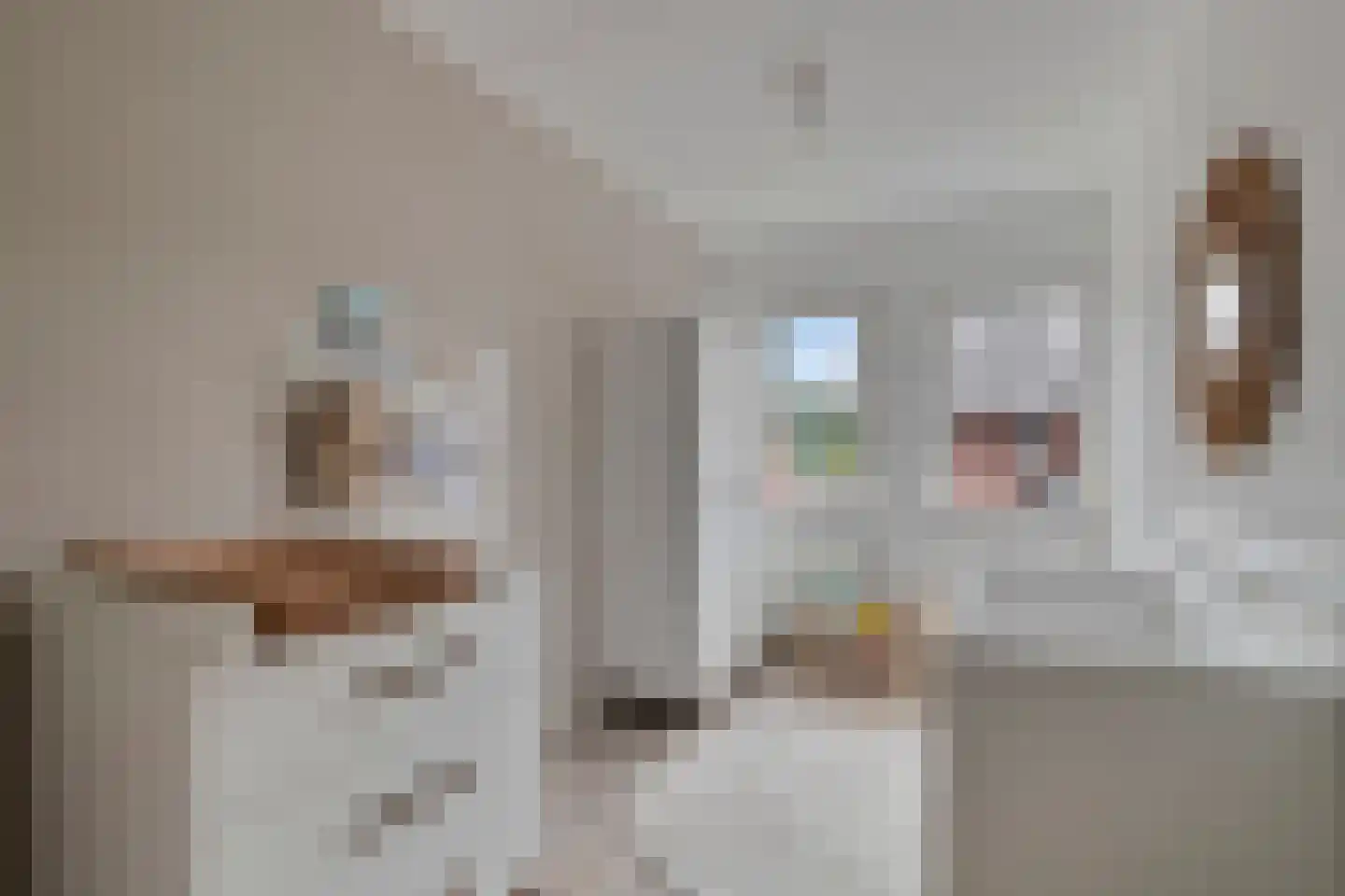 Biezenkamp 7 Wapenveld thumbnail 20