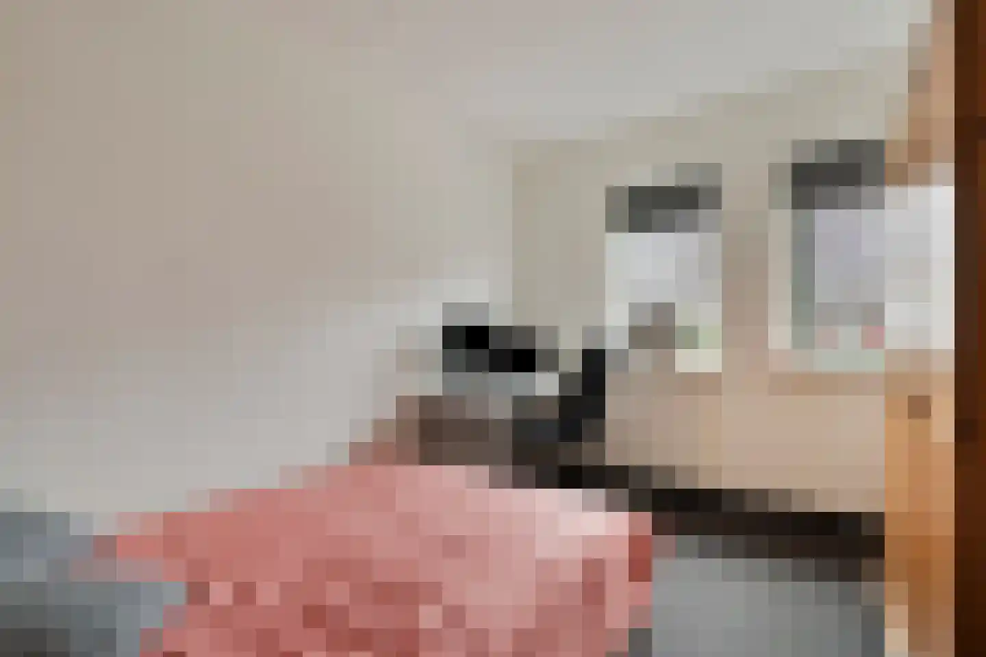 Biezenkamp 7 Wapenveld thumbnail 22
