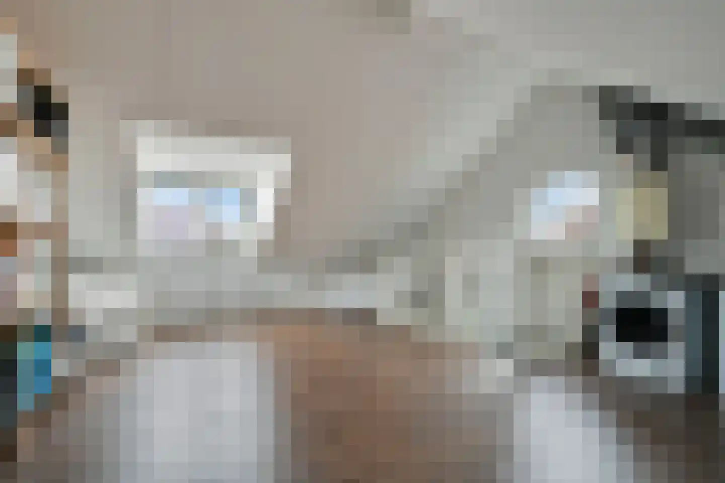 Biezenkamp 7 Wapenveld thumbnail 25