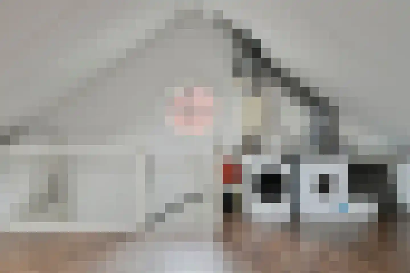 Biezenkamp 7 Wapenveld thumbnail 26