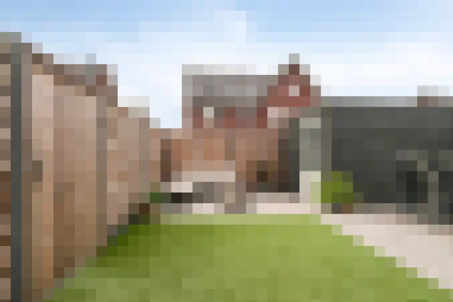 Biezenkamp 7 Wapenveld thumbnail 30