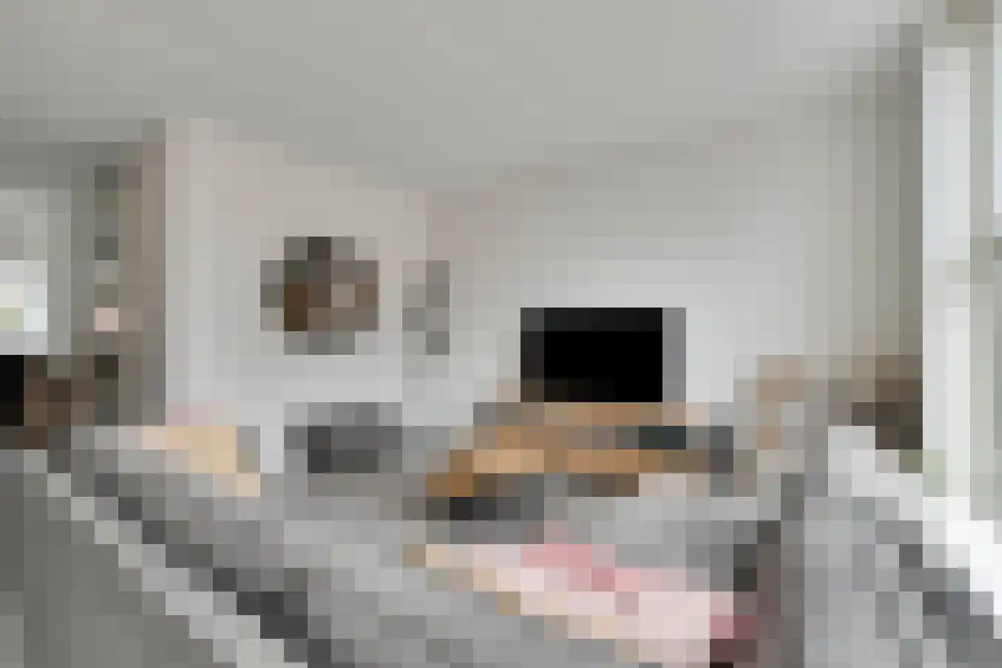 Biezenkamp 7 Wapenveld thumbnail 4