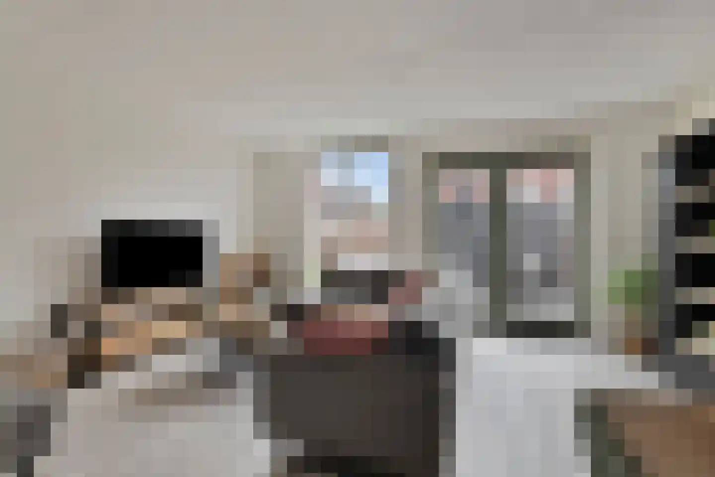 Biezenkamp 7 Wapenveld thumbnail 5