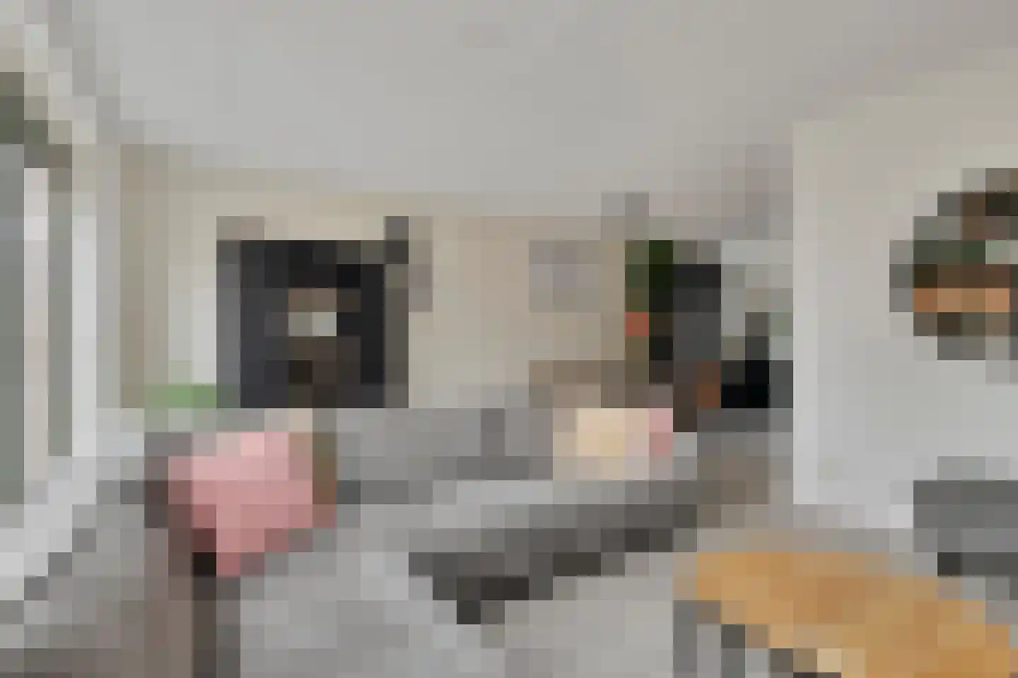 Biezenkamp 7 Wapenveld thumbnail 6
