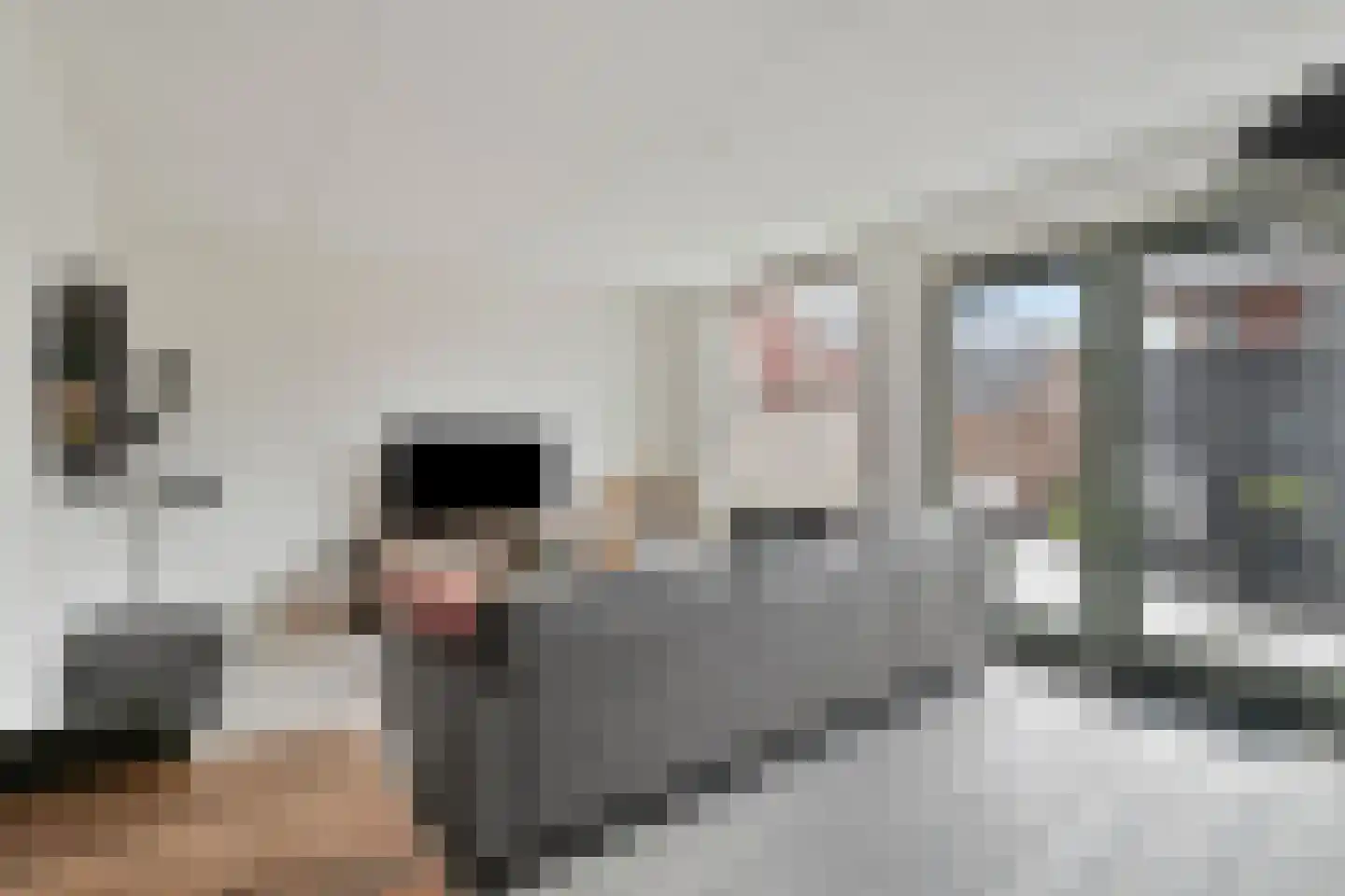 Biezenkamp 7 Wapenveld thumbnail 7