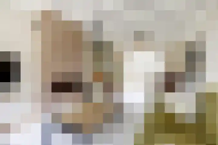 Biezenkampstraat 10 Haalderen thumbnail 11