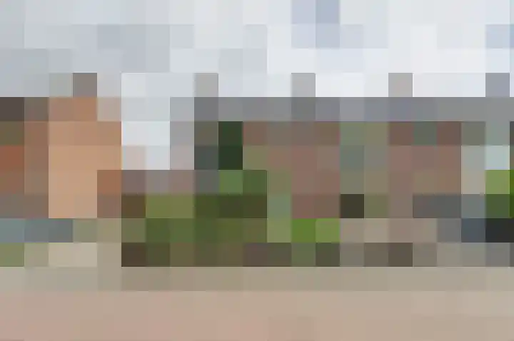 Biezenkampstraat 10 Haalderen thumbnail 39