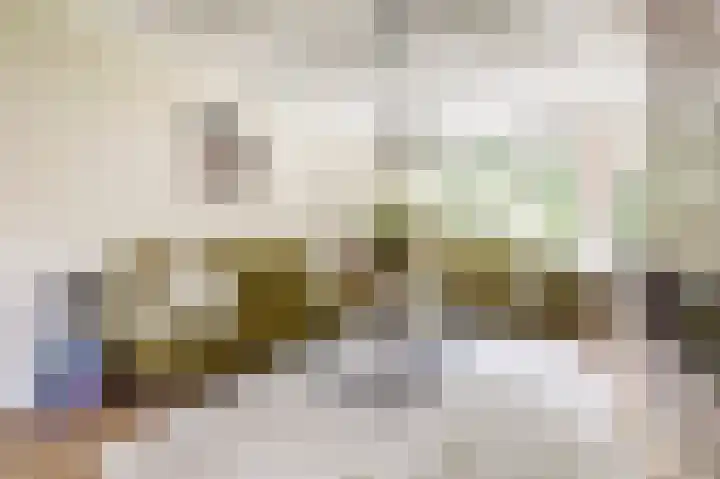 Biezenkampstraat 10 Haalderen thumbnail 6