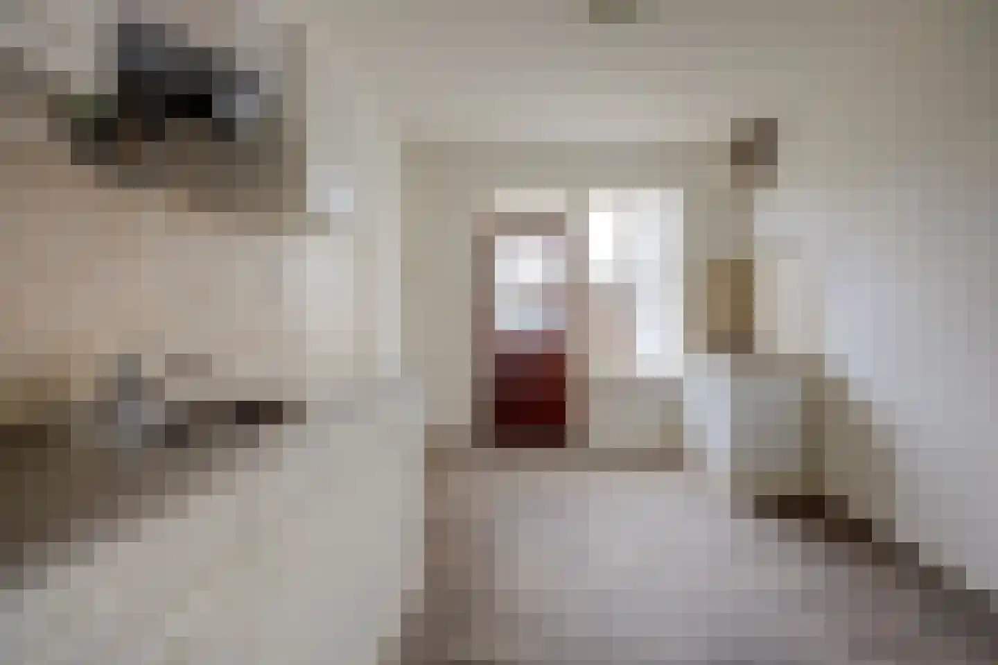 Biezenkampstraat 22 Haalderen thumbnail 8