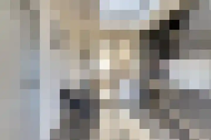 Biezenkampstraat 46 Haalderen thumbnail 11