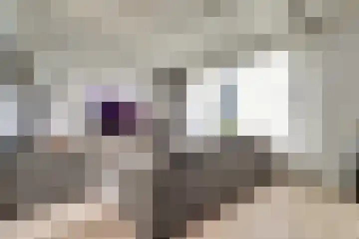 Biezenkampstraat 46 Haalderen thumbnail 4
