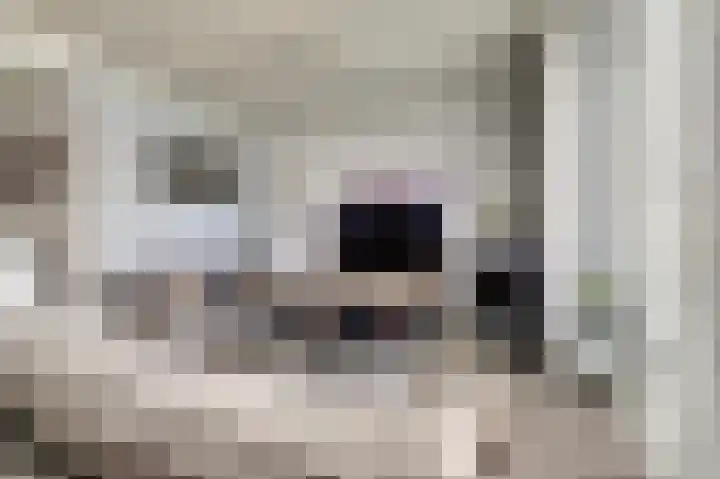 Biezenkampstraat 46 Haalderen thumbnail 5