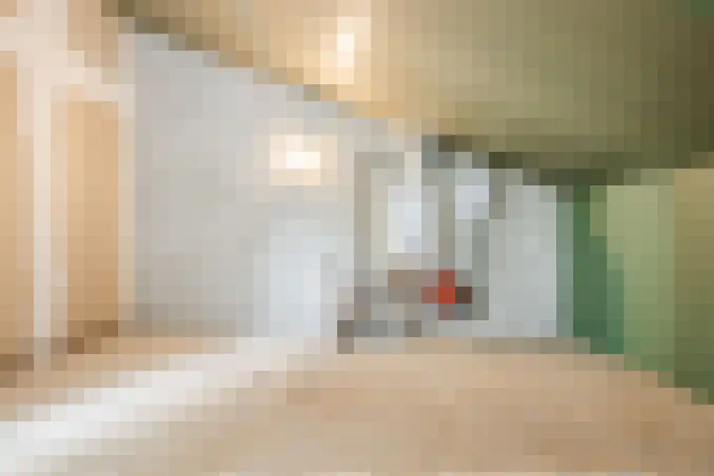 Biezenknoppen 46 Zwolle thumbnail 24