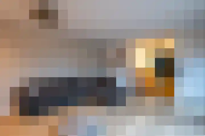 Biezenknoppen 5 Zwolle thumbnail 11