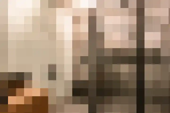 Biezenknoppen 5 Zwolle thumbnail 20