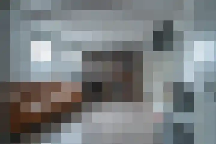 Biezenknoppen 5 Zwolle thumbnail 24