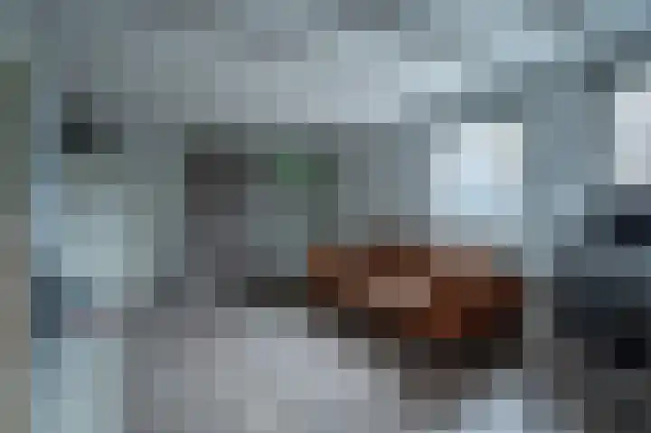 Biezenknoppen 5 Zwolle thumbnail 25