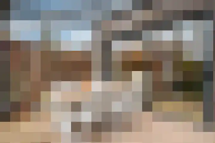 Biezenknoppen 5 Zwolle thumbnail 26