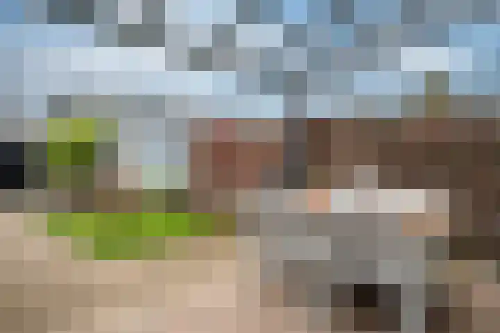 Biezenknoppen 5 Zwolle thumbnail 27
