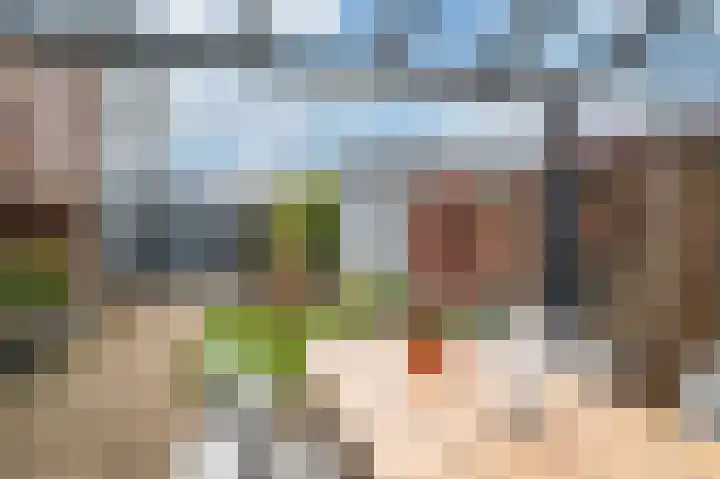 Biezenknoppen 5 Zwolle thumbnail 28