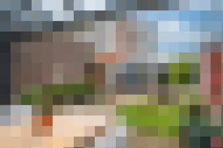 Biezenknoppen 5 Zwolle thumbnail 29