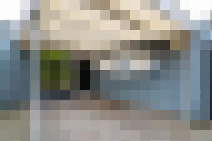 Biezenknoppen 5 Zwolle thumbnail 32
