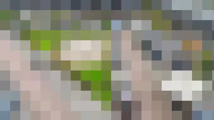 Biezenknoppen 5 Zwolle thumbnail 35