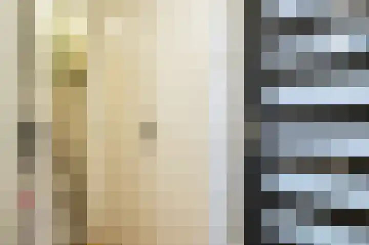 Biezenknoppen 5 Zwolle thumbnail 4