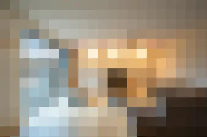 Biezenknoppen 5 Zwolle thumbnail 8