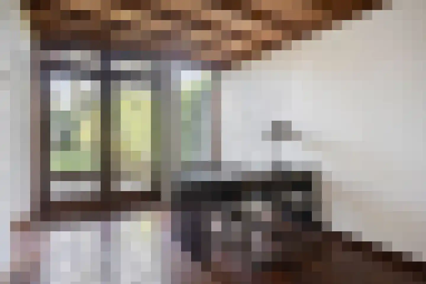 Biezenkuilen 50 Veldhoven thumbnail 12