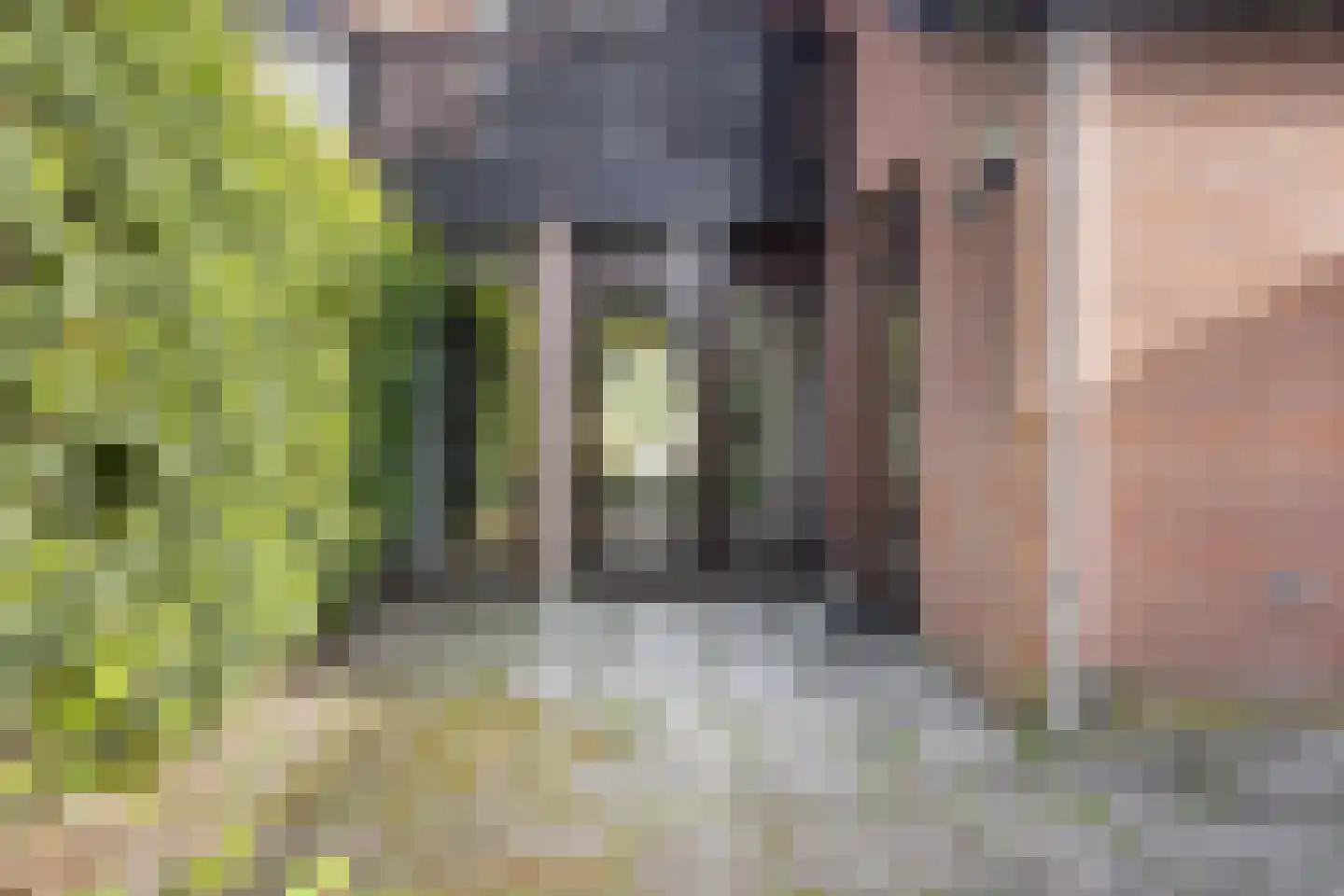 Biezenkuilen 50 Veldhoven thumbnail 17