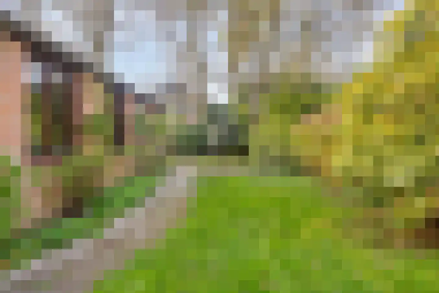 Biezenkuilen 50 Veldhoven thumbnail 20