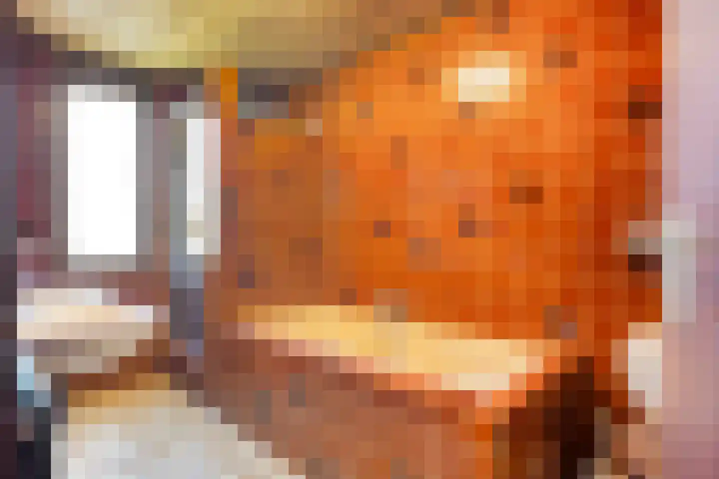 Biezenkuilen 50 Veldhoven thumbnail 37