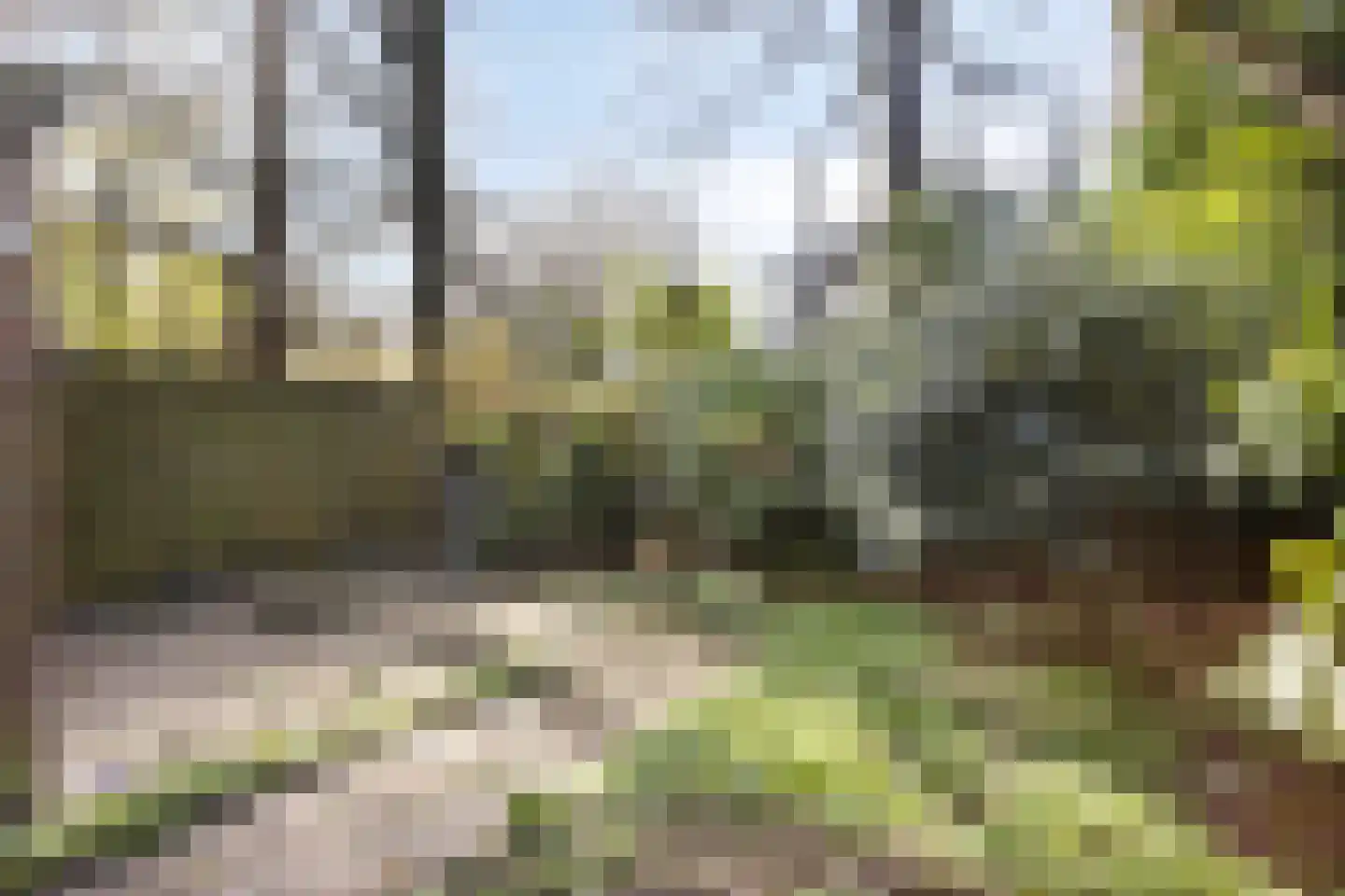 Biezenkuilen 50 Veldhoven thumbnail 42