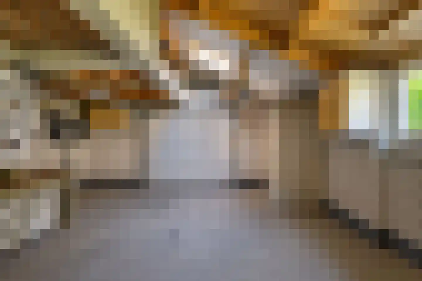 Biezenkuilen 67 Veldhoven thumbnail 16