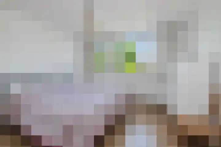 Biezenkuilen 79 Veldhoven thumbnail 29