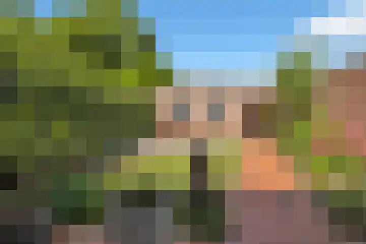 Biezenkuilen 79 Veldhoven thumbnail 35