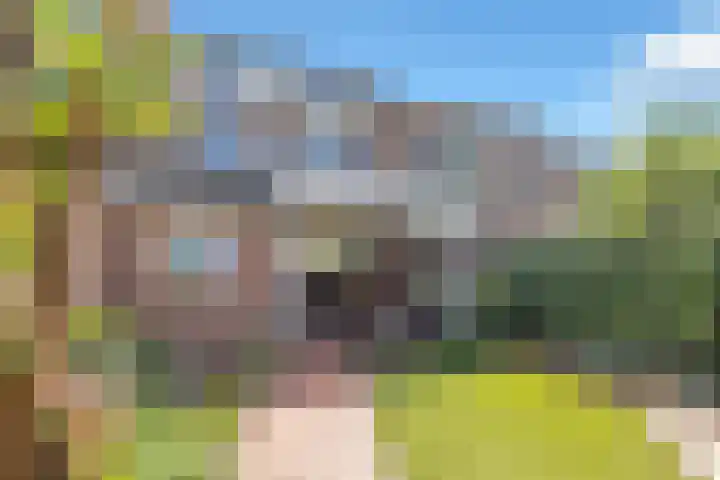 Biezenkuilen 79 Veldhoven thumbnail 38