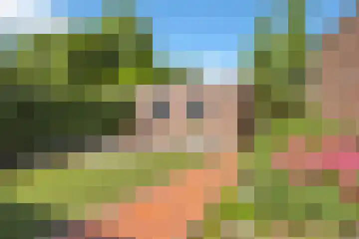Biezenkuilen 79 Veldhoven thumbnail 39