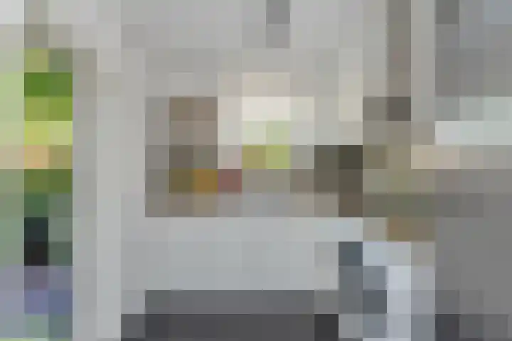 Biezenkuilen 79 Veldhoven thumbnail 4
