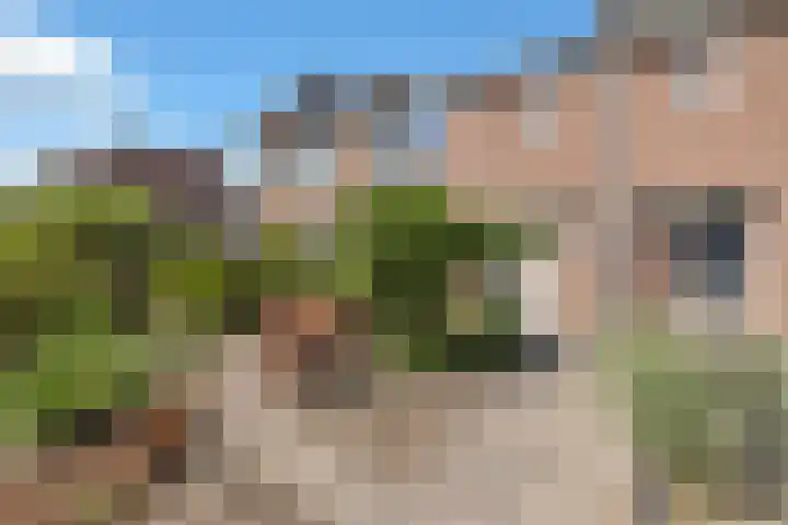 Biezenkuilen 79 Veldhoven thumbnail 5
